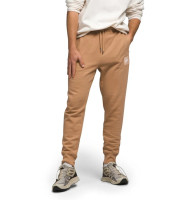 Штани спортивні The North Face Box NSE Jogger Pants NF0A7UOA I0J