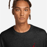 Футболка Jordan M JUMPMAN SS LBR TEE 2 IR0342-010