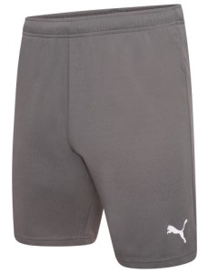 Шорти Puma teamRISE Short сірий Чол L 704942-13