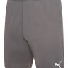 Шорти Puma teamRISE Short сірий Чол L 704942-13