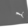 Шорти Puma teamRISE Short сірий Чол L 704942-13