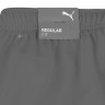 Шорти Puma teamRISE Short сірий Чол L 704942-13