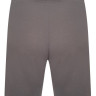 Шорти Puma teamRISE Short сірий Чол L 704942-13