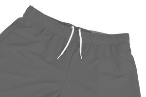 Шорти Puma teamRISE Short сірий Чол L 704942-13