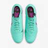 Бутси NIKE LEGEND 10 ELITE FG DV4328-300