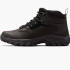 Черевики чоловічі Columbia Newton Ridge Plus Ii Waterproof Brown BM3970-014