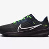 Кросівки Nike Air zoom pegasus 40 SEAHAWKS DZ6007-001