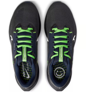 Кросівки Nike Air zoom pegasus 40 SEAHAWKS DZ6007-001