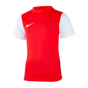 Футболка Nike Y NK DF TIEMPO PREM II JSY SS DH8389-657