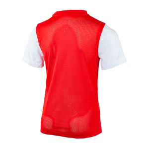 Футболка Nike Y NK DF TIEMPO PREM II JSY SS DH8389-657