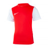 Футболка Nike Y NK DF TIEMPO PREM II JSY SS DH8389-657