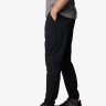 Штани Sage Peak™ Tapered Chino Pant 2095041CLB-010 Columbia L (50-52) Чорний 2095041CLB-010