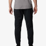 Штани Sage Peak™ Tapered Chino Pant 2095041CLB-010 Columbia L (50-52) Чорний 2095041CLB-010