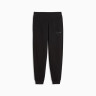 Штани ESS SCRIPT Sweatpants 69176301 Puma L Чорний 69176301