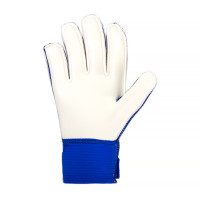 Рукавиці воротарські Nike NK GK MATCH JR - FA20 CQ7795-445