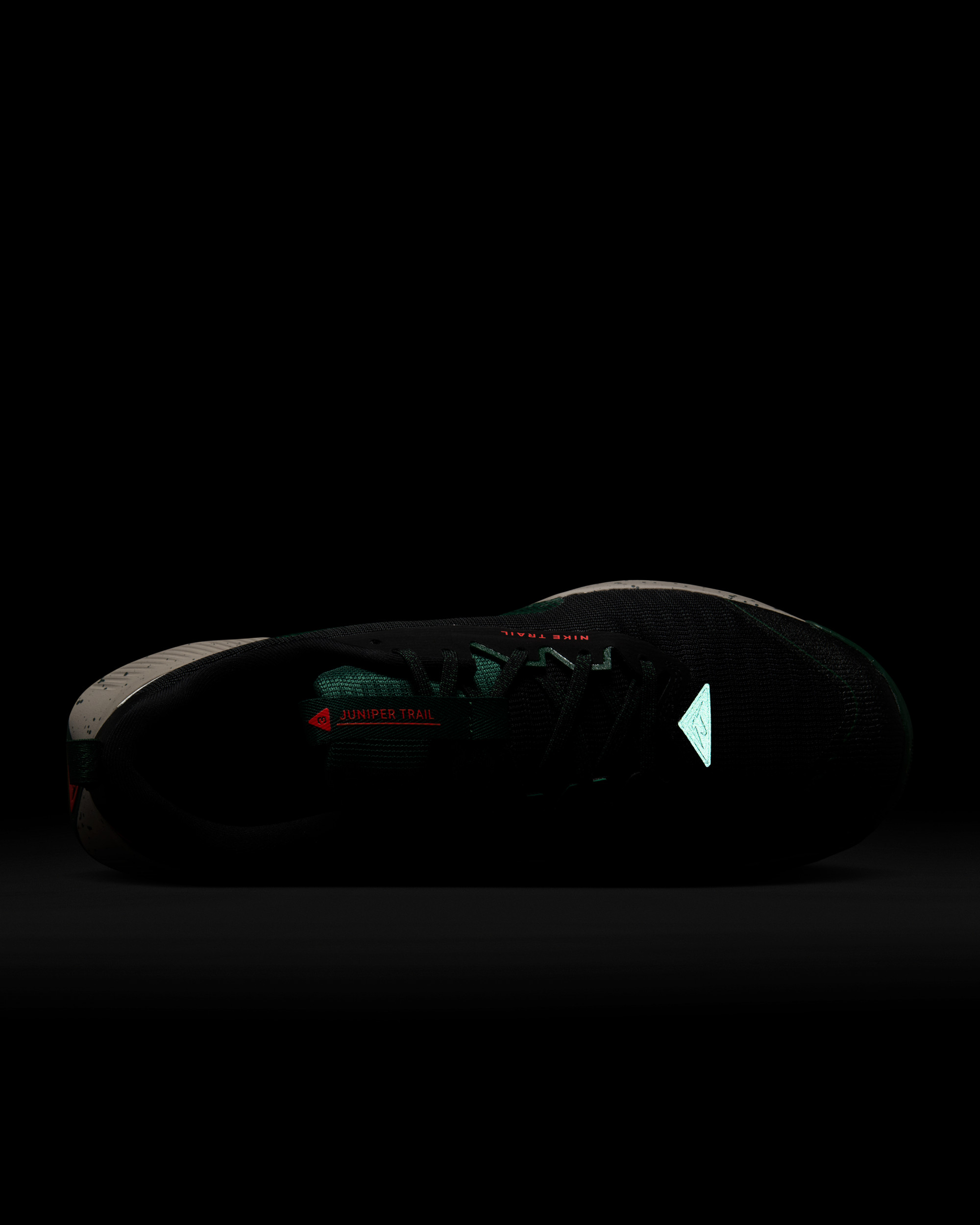 Кросівки чоловічі Nike Juniper Trail 3 FQ0904-006