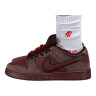 Кросівки NIKE SB DUNK LOW FN0619-600