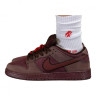 Кросівки NIKE SB DUNK LOW FN0619-600