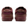 Кросівки NIKE SB DUNK LOW FN0619-600