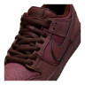 Кросівки NIKE SB DUNK LOW FN0619-600