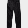 Штани спортивні The North Face M Class V pant NF0A48VJ