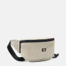 Сумка Dickies BLANCHARD DK0A4X8QKHK1