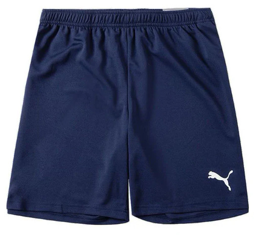 Шорти Puma teamRISE Short темно-синій Чол L 704942-06