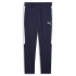 Штани teamEVOSTRIPE Pants 659948-06
