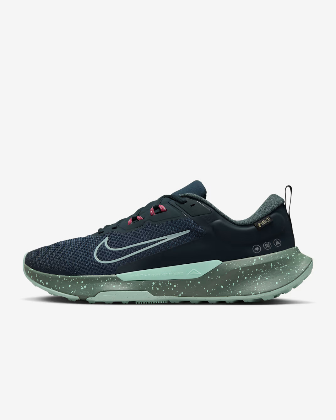 Кросівки Nike JUNIPER TRAIL 2 GTX V2 HM9734-302