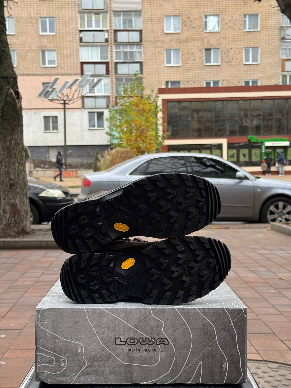 Черевики LOWA Renegade 100 Mid GTX (310949-4240) 310949-4240