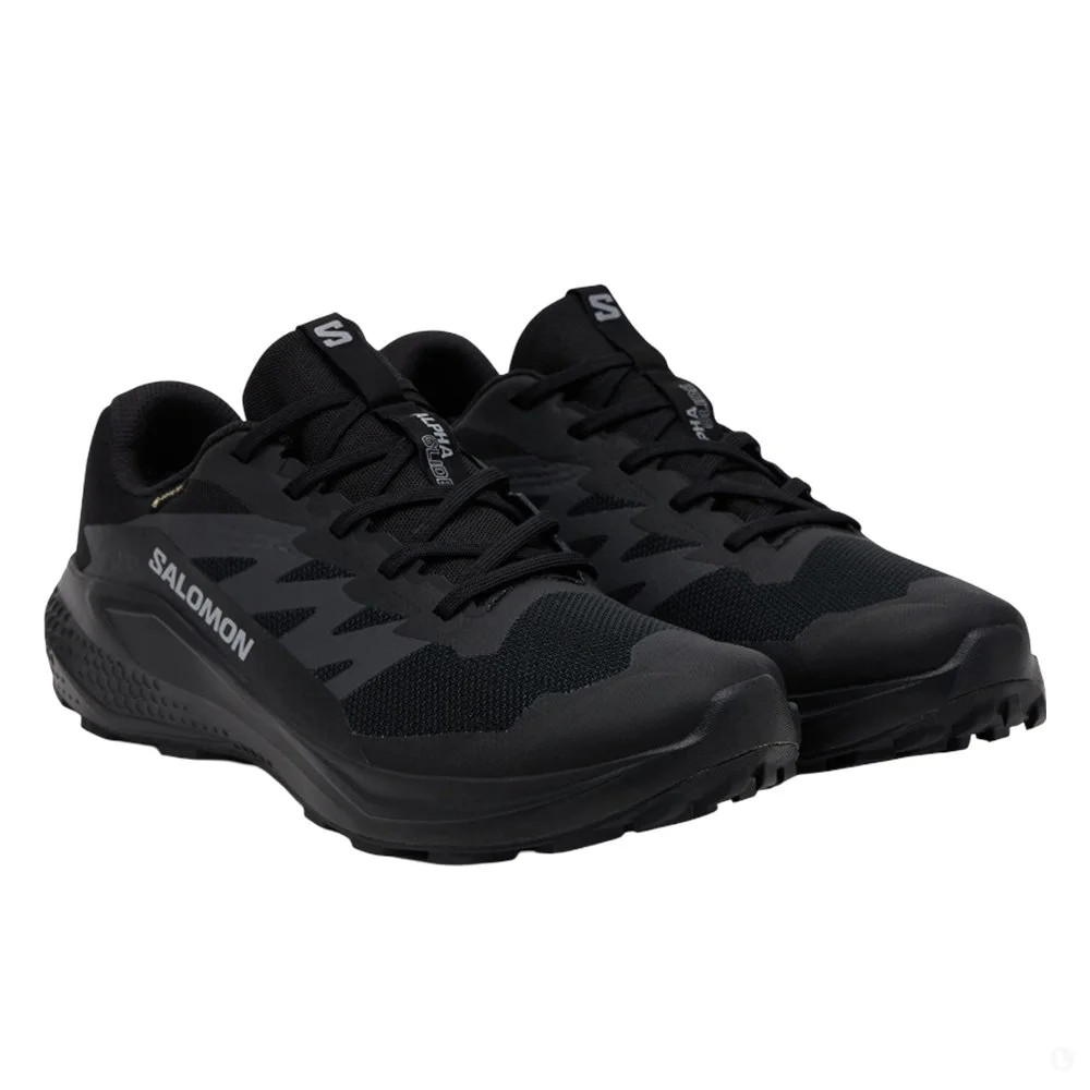 Кросівки ALPHAGLIDE GTX Black L47802100 SALOMON 11 (46) Чорний L47802100