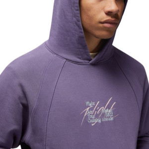 Толстовка Air Jordan Flight Heritage Violet DM1394-553