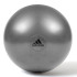 М'яч гімнастичний Adidas Gymball ADBL-11247GR