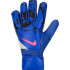 Рукавиці воротарські Nike GK MATCH - HO24 HQ0257-458