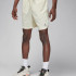 Шорти чоловічі Air Jordan Sport Dri-Fit White FN5816-113