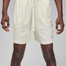 Шорти чоловічі Air Jordan Sport Dri-Fit White FN5816-113