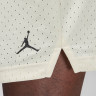Шорти чоловічі Air Jordan Sport Dri-Fit White FN5816-113