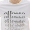 Футболка Ellesse Cervati Tee SXR17670-908