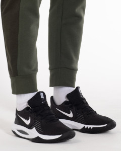 Кросівки баскетбольні Nike PRECISION V CW3403-003