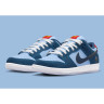 Кросівки NIKE SB DUNK LOW PRM WSS DX5549-400