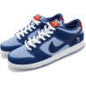 Кросівки NIKE SB DUNK LOW PRM WSS DX5549-400