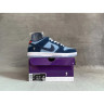Кросівки NIKE SB DUNK LOW PRM WSS DX5549-400