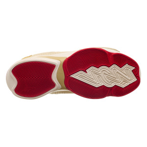 Кросівки JORDAN ZION 2 DO8990-217