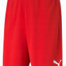 Шорти Puma teamRISE Short червоний Чол L 704942-01