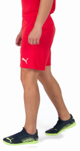 Шорти Puma teamRISE Short червоний Чол L 704942-01