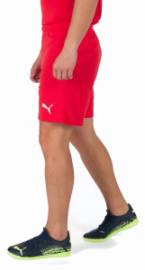 Шорти Puma teamRISE Short червоний Чол L 704942-01