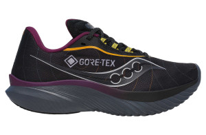 Кросівки для бігу Saucony KINVARA 15 GTX S10969-250