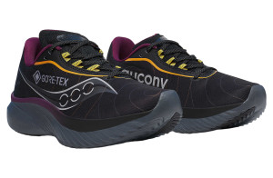 Кросівки для бігу Saucony KINVARA 15 GTX S10969-250