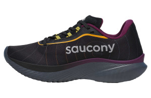 Кросівки для бігу Saucony KINVARA 15 GTX S10969-250
