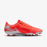 Бутси Nike LEGEND 10 ACADEMY FG/MG DV4337-800